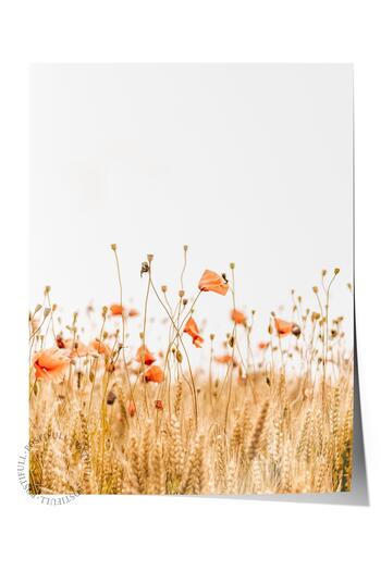 Postifull Rustic Unframed Poster, Scandinavian White Painting, No:454 Field Photo