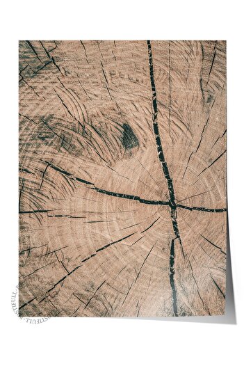 Postifull Rustic Unframed Poster, Nordic Brown Painting, No:403 Tree Bark Photo, Horizontal