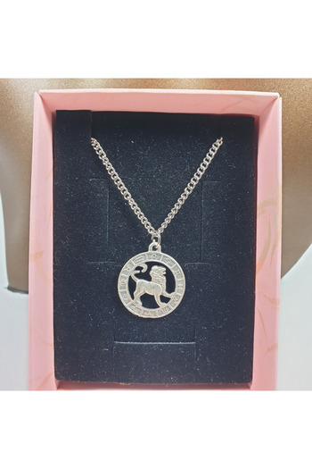 Ororabutik Silver Color 25mm Lion Sign Figured Necklace