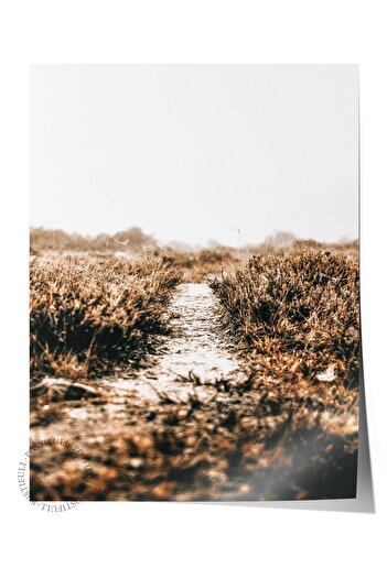 Postifull Rustic Unframed Poster, Scandinavian Brown Table, No:457 Trail Photo