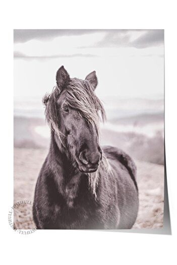 Postifull Rustic Unframed Poster, Scandinavian Brown Painting, No:365 Horse Photo, Vertical