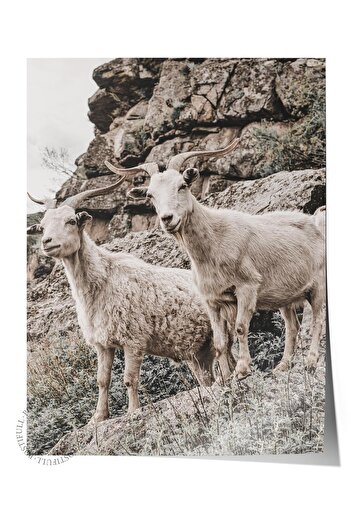 Postifull Rustic Unframed Poster, Scandinavian Brown Painting, No:363 Deer Photo, Vertical