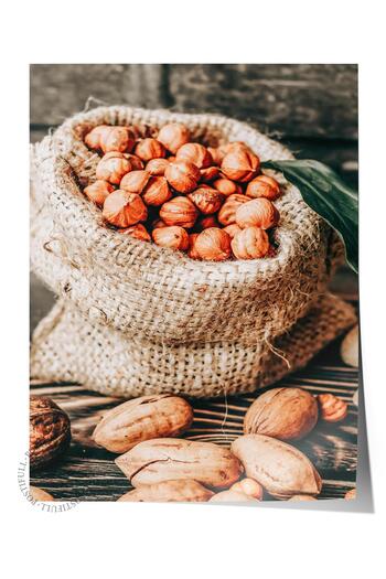 Postifull Rustic Unframed Poster, Scandinavian Brown Painting, No:438 Hazelnut Photo