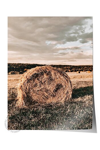 Postifull Rustic Unframed Poster, Scandinavian Brown Painting, No:231 Hay Bales Photo, Vertical