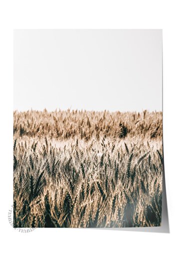 Postifull Rustic Unframed Poster, Nordic Brown Painting, No:204 Wheat Photo, Vertical