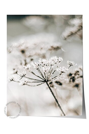 Postifull Rustic Unframed Poster, Scandinavian Brown Painting, No:194 Flower Close-Up Photo, Vertical