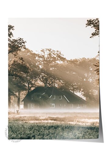 Postifull Rustic Unframed Poster, Scandinavian Brown Painting, No:159 Tree and Shadow Photo, Vertical