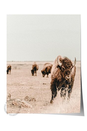 Postifull Rustic Unframed Poster, Scandinavian Brown Painting, No:277 Buffalo Photo, Vertical