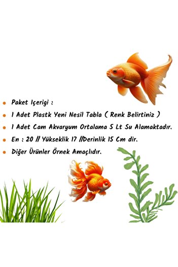 Akvaryum Yeni Nesil Sehpası Ve Nano Lüks Fanus Özel Alt Tablalı Lüks