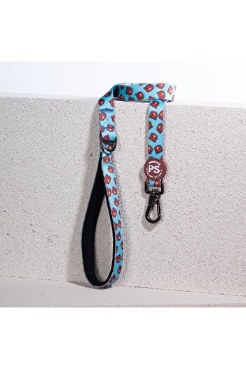 Pawstar Bears Leash Cat Dog Ship & Walk Strap Dog Extension Collar