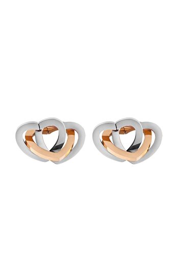 Daniel Klein Mtk11424 Steel Rose Silver Color Earrings
