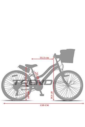 Trendbisiklet Retro Classic 24 Jant Bisiklet, Shimano 21 Vites, Hasır Sepetli Vintage Şehir Bisikleti, Mint Yeşili