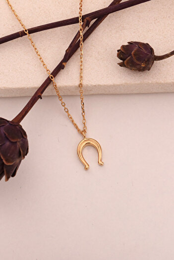 Nox Jewelry 925 Ayar Altın Mikron Kaplama Minimal At Nalı Gümüş Kolye - CN00377