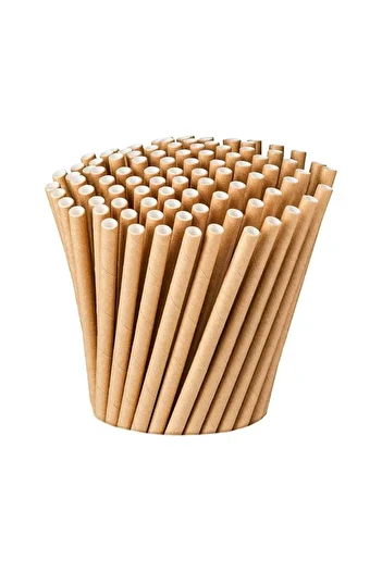 EFE PASTACILIK 19.5 cm Kraft Paper Straws - 25 Pieces