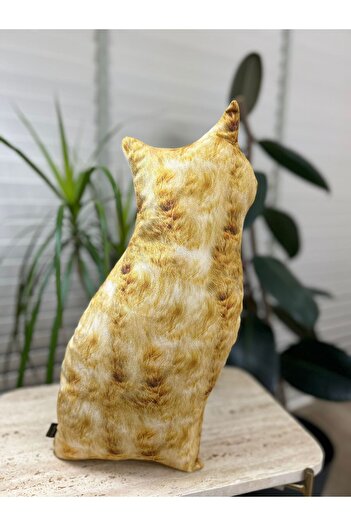 Pethoven Kedi Yastık