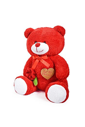 Pandamkee 75 cm Cute Teddy Bear Holding Roses You Are Good