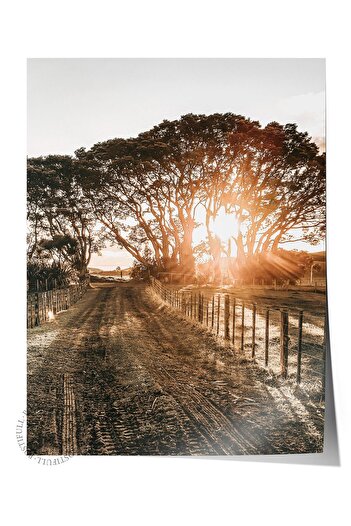 Postifull Rustic Unframed Poster, Nordic Brown Painting, No:210 Sunset and Trees Photo