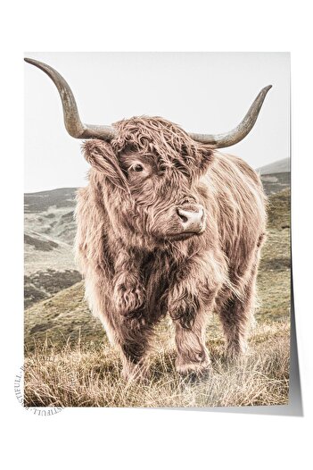 Postifull Rustic Unframed Poster, Scandinavian Brown Painting, No:297 Buffalo Photo, Vertical
