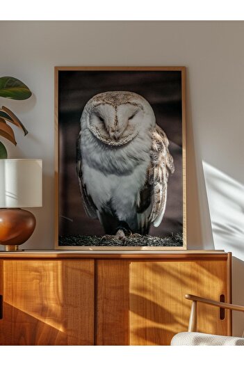 Postifull Rustic Unframed Poster, Scandinavian Brown Painting, No:358 Owl Photo, Vertical