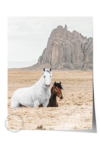 Postifull Rustic Unframed Poster, Scandinavian Brown Painting, No:233 Lama and Rocky Photo, Vertical