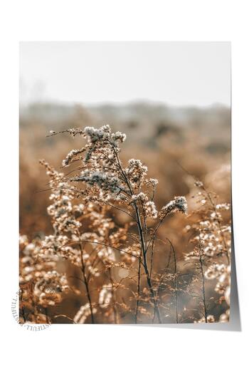 Postifull Rustic Unframed Poster, Scandinavian Brown Painting, No:455 Flowers Photo