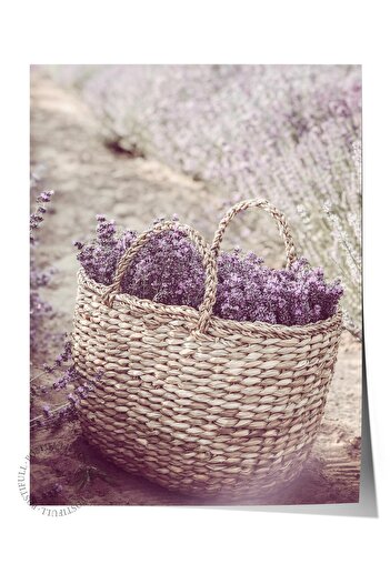 Postifull Rustic Unframed Poster, Nordic Purple Painting, No:317 Lavender Basket Photo, Vertical