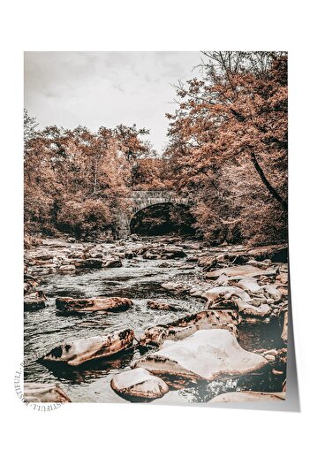 Postifull Rustic Unframed Poster, Scandinavian Brown Painting, No:411 River and Trees Photo, Horizontal