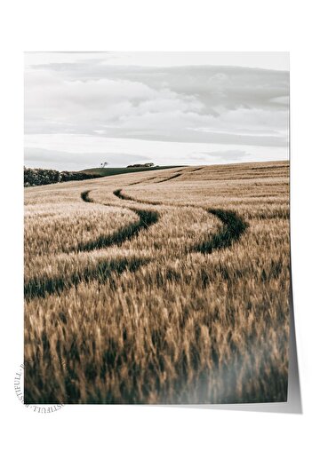 Postifull Rustic Unframed Poster, Nordic Brown Painting, No:203 Wheat Field Photo, Vertical