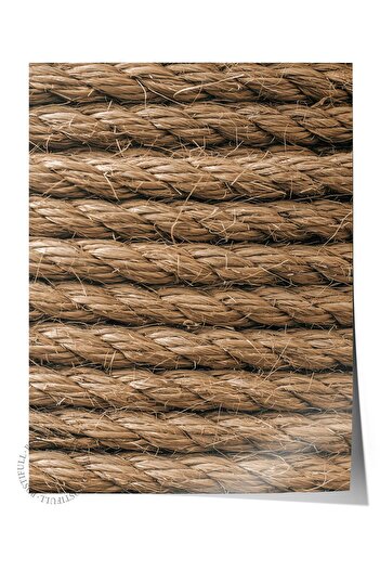 Postifull Rustic Unframed Poster, Scandinavian Brown Painting, No:448 Rope Photo