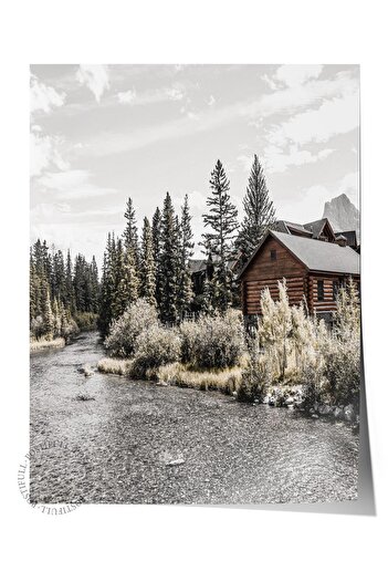 Postifull Rustic Frameless Poster, Scandinavian Brown Table, NO:323 Forest Road Photo, Vertical