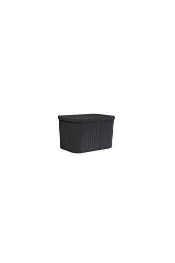 Dükkanönü 3 Pieces 6 Liters Midi Multi-Purpose Storage Box with Lid - Towel, Cosmetic Personal Item Organizer