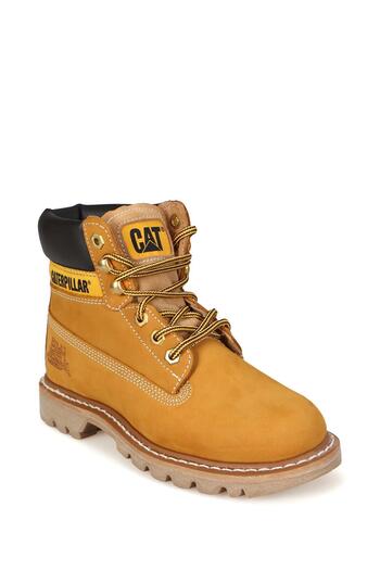 Cat Colorado Bot