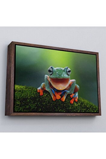 indispensablely Framed Colorful Smiling Frog Decorative Canvas Painting-1149
