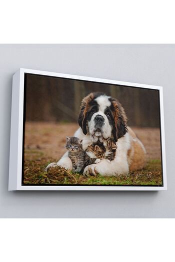 indispensablely Framed St. Bernard Dog and Kittens Decorative Canvas Painting-1124