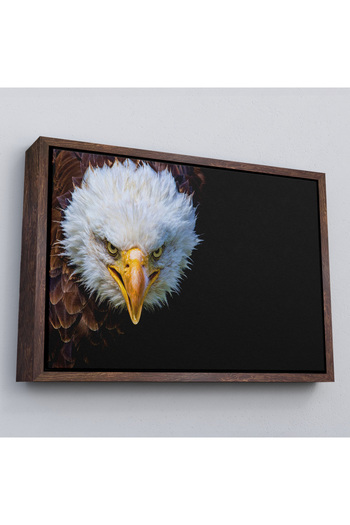 indispensablely Framed Eagle Decorative Canvas Art Print-1132
