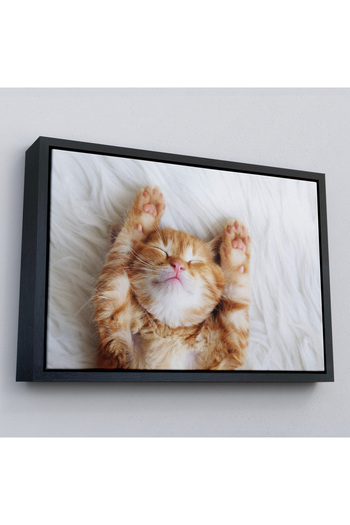 indispensablely Framed Kitten Decorative Canvas Painting-1125