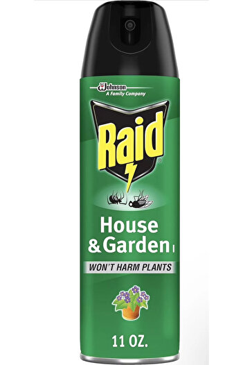 Raid 11OZ H&G Insect Killer