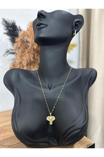 Store FİLLİ