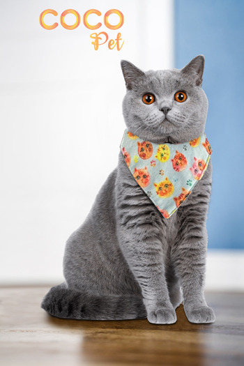 Cocopet Patterned Scarf Bandana Cat Collar Set of 3