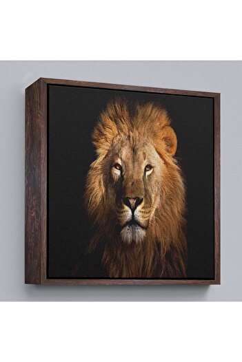 indispensablely Framed Lion Decorative Canvas Painting-5847