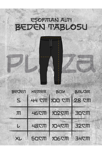Plaza Butik Men's Half Zipper Sweatshirt Men's Lion Printed Bottom Top Tracksuit Set