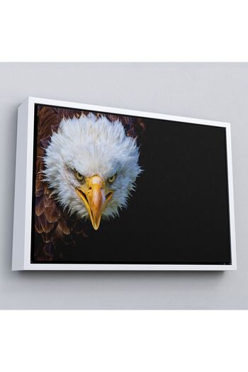 indispensablely Framed Eagle Decorative Canvas Art Print-1132