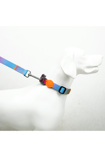 Tailpetz Pass Neck Collars Adjustable Durable and Comfortable Dog Pattern Neck Collar