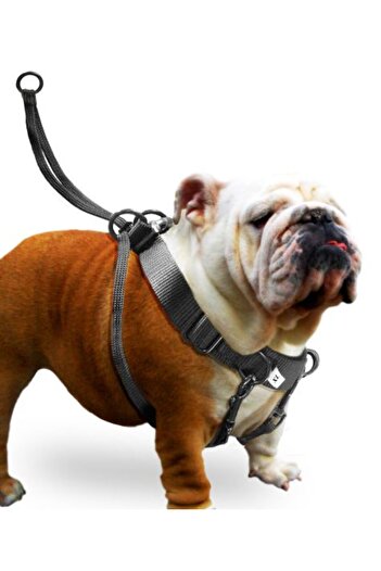 Karlie Easy Walker Xlarge Chest Collar - 52*84 cm