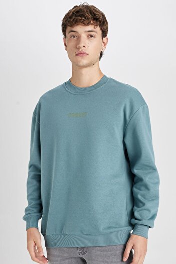 DeFacto Purple Boxy Fit Crew Neck Printed Sweatshirt V5306Az24Au