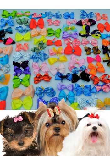Hubjua Royal 10 Pieces Luxury Stone Dog Buckle Bow Accessory Elastic Buckle