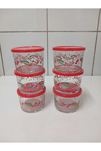 LAV Feyzade Red Floral Pattern Bodega Storage Container - 240Ccx6 Pieces (Lv-Bdg-384)