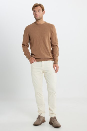 ALTINYILDIZ CLASSICS Men's Mink Warm Wool Standard Fit Regular Cut Crew Neck Knitwear Sweater