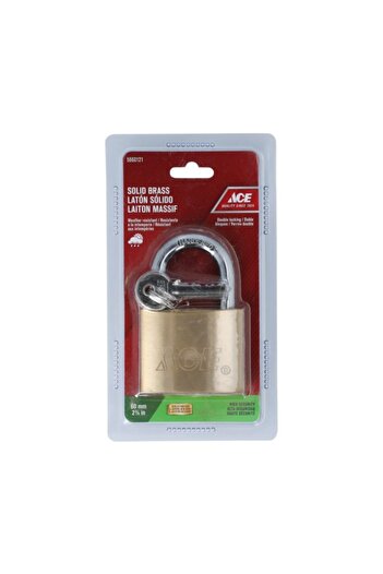 ACE High Security Weather-Resistant Stainless Steel Padlock with Key 60mm