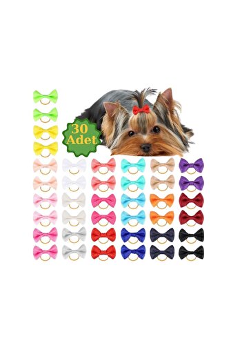 Hubjua Royal Dog Buckle Mixed 30 Pieces - Luxury Accessory Elastic Buckle with Stones